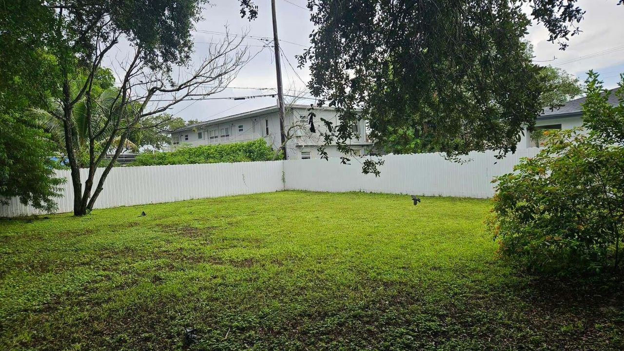Backyard & patio