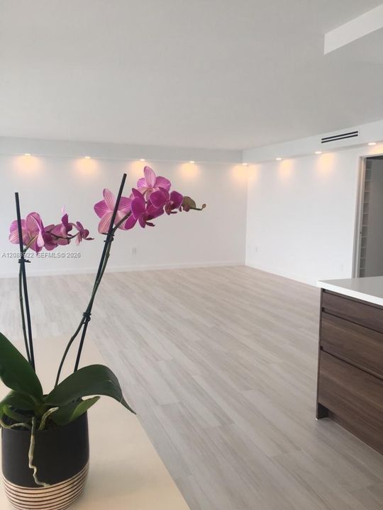 living room from kitchen