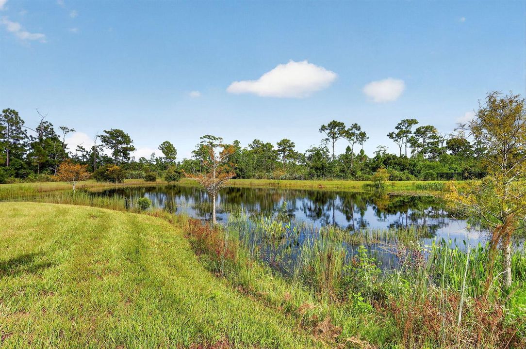 Lovely Pond