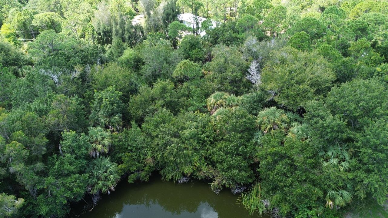DJI_0015