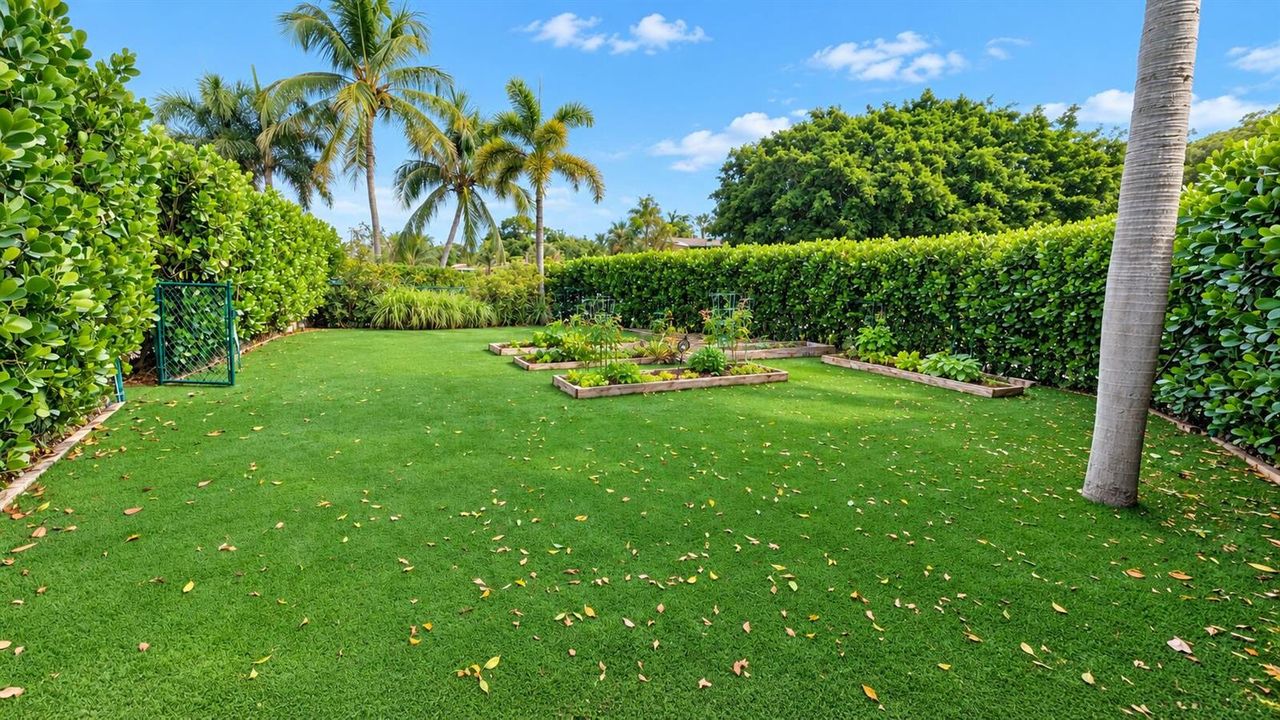 Garden Beds