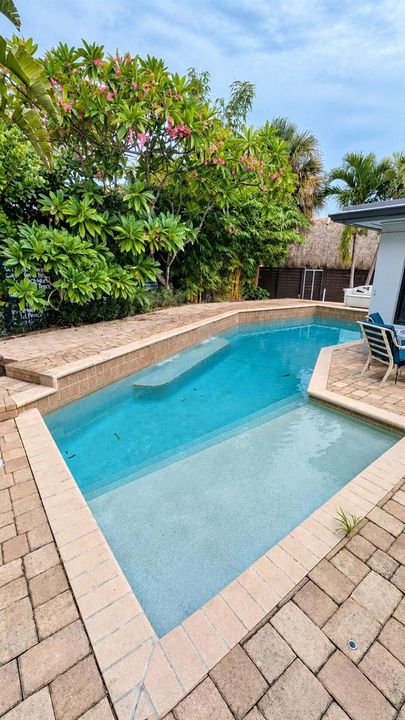 Resort Style Pool