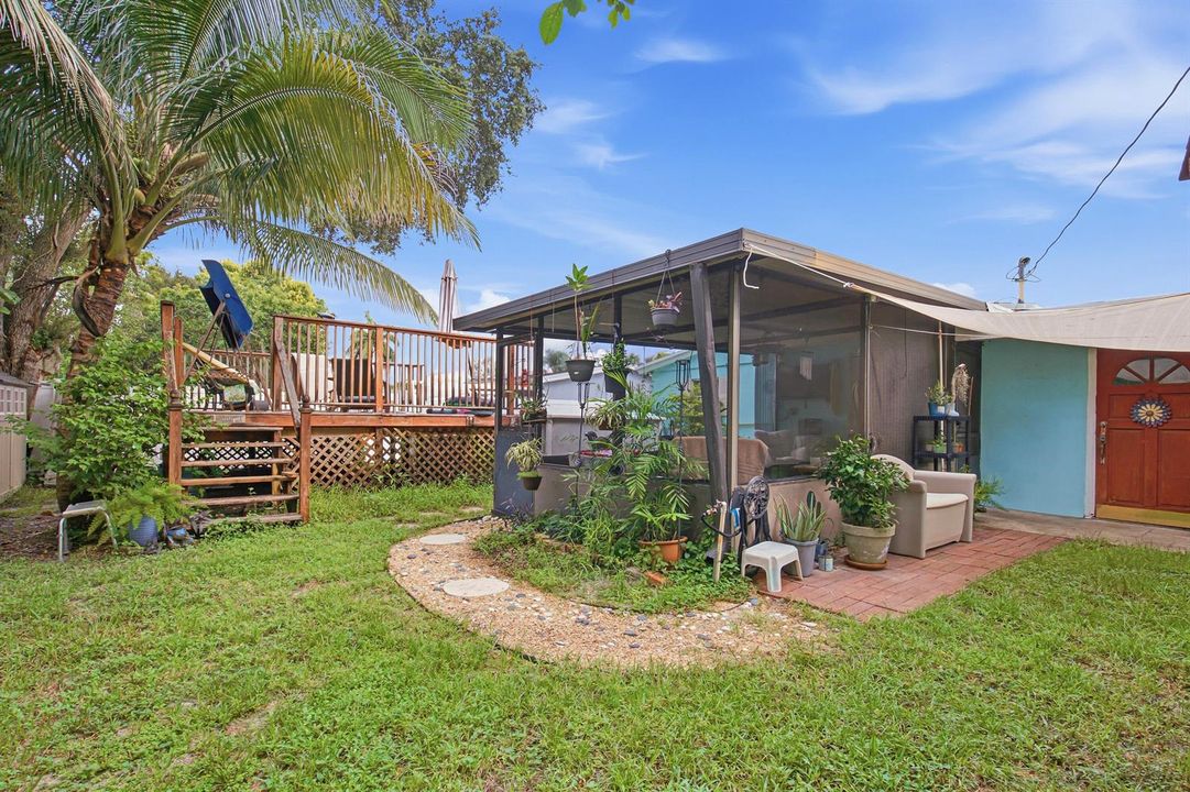 Backyard-B