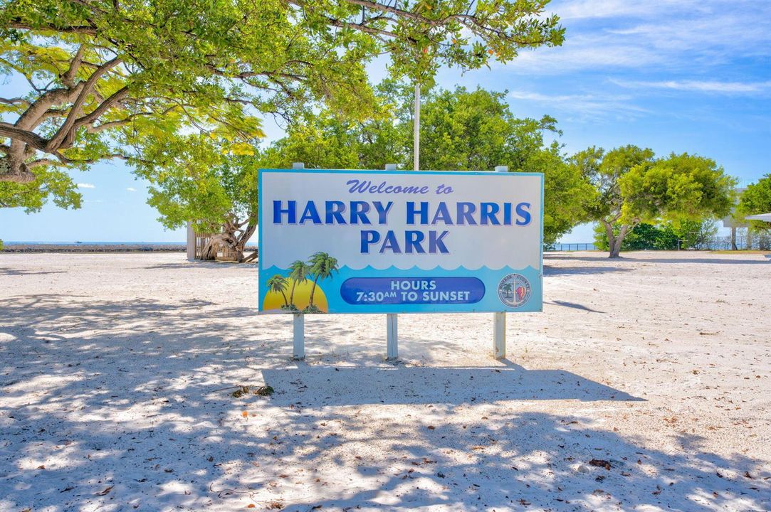 38-web-or-mls-136 Sable Palm Ln - High E