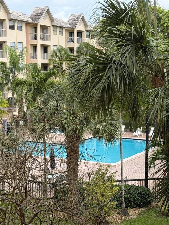 Doral Pool