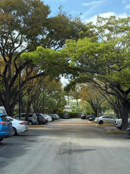 Doral Neighborhood 2