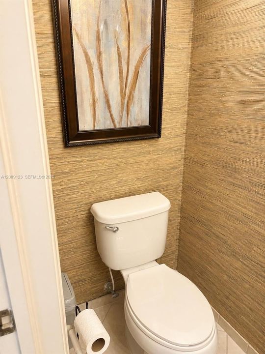 BATHROOM VISITA
