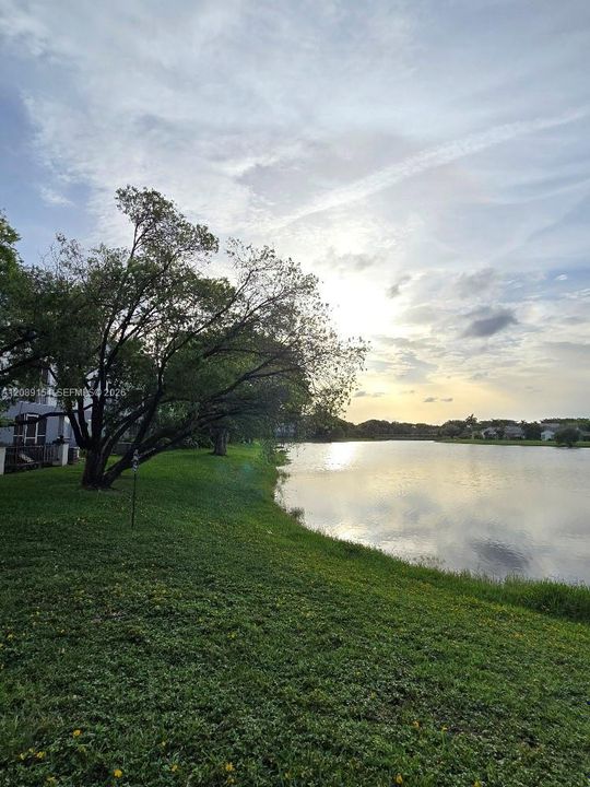 For Rent: $2,100 (1 beds, 1 baths, 602 Square Feet)