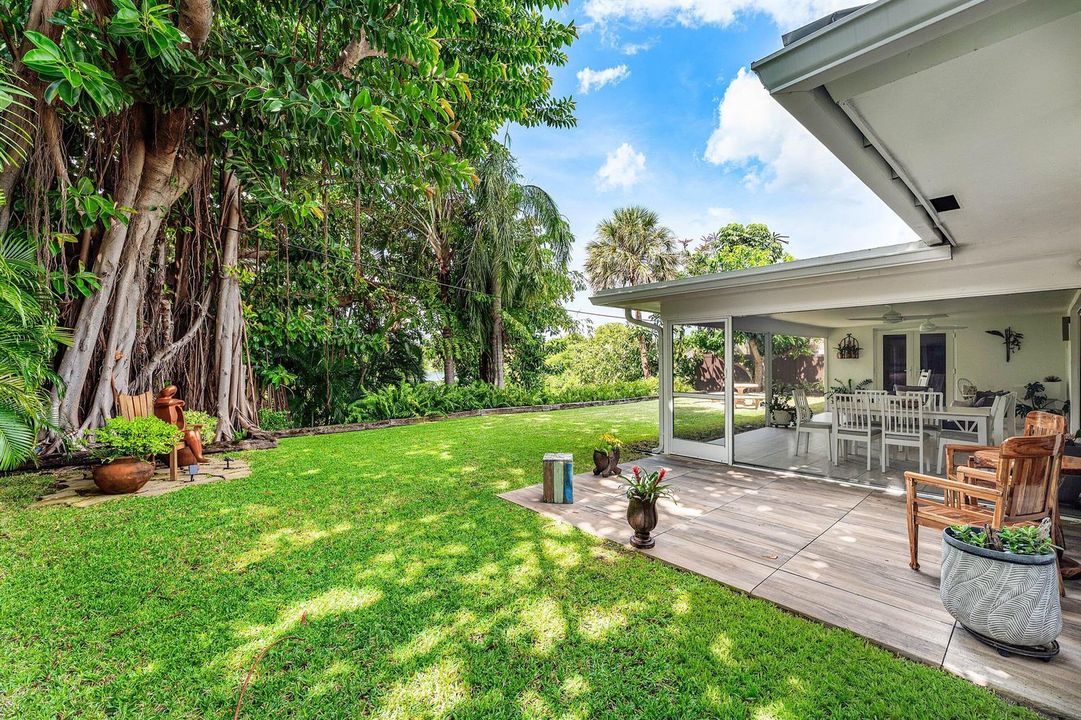 Backyard