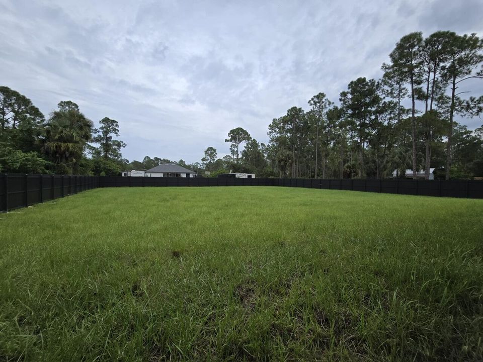 Yard
