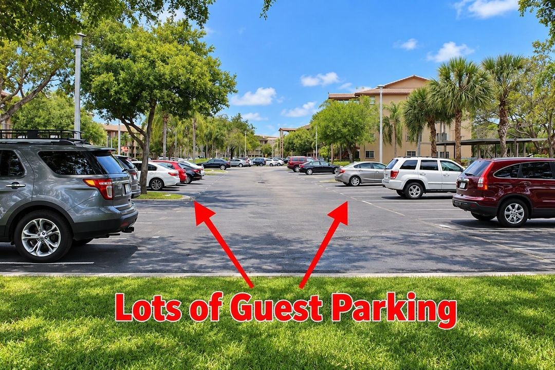 5-guest_parking_sunny
