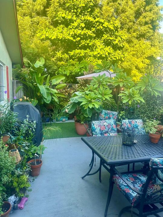 Fenced in patio