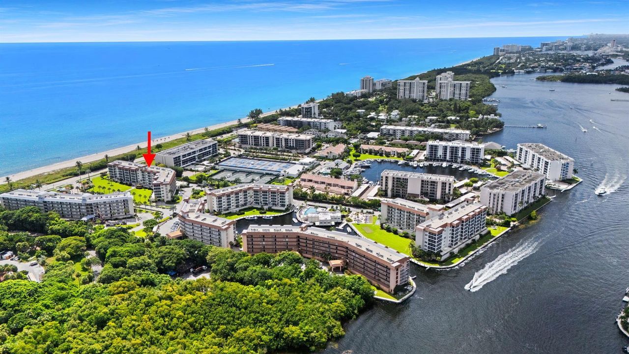 community aerial seeing ocean