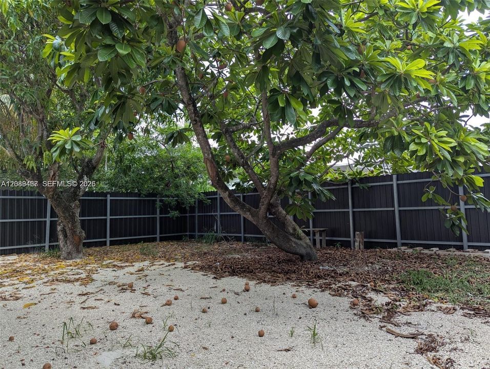 For Rent: $2,500 (2 beds, 2 baths, 1288 Square Feet)