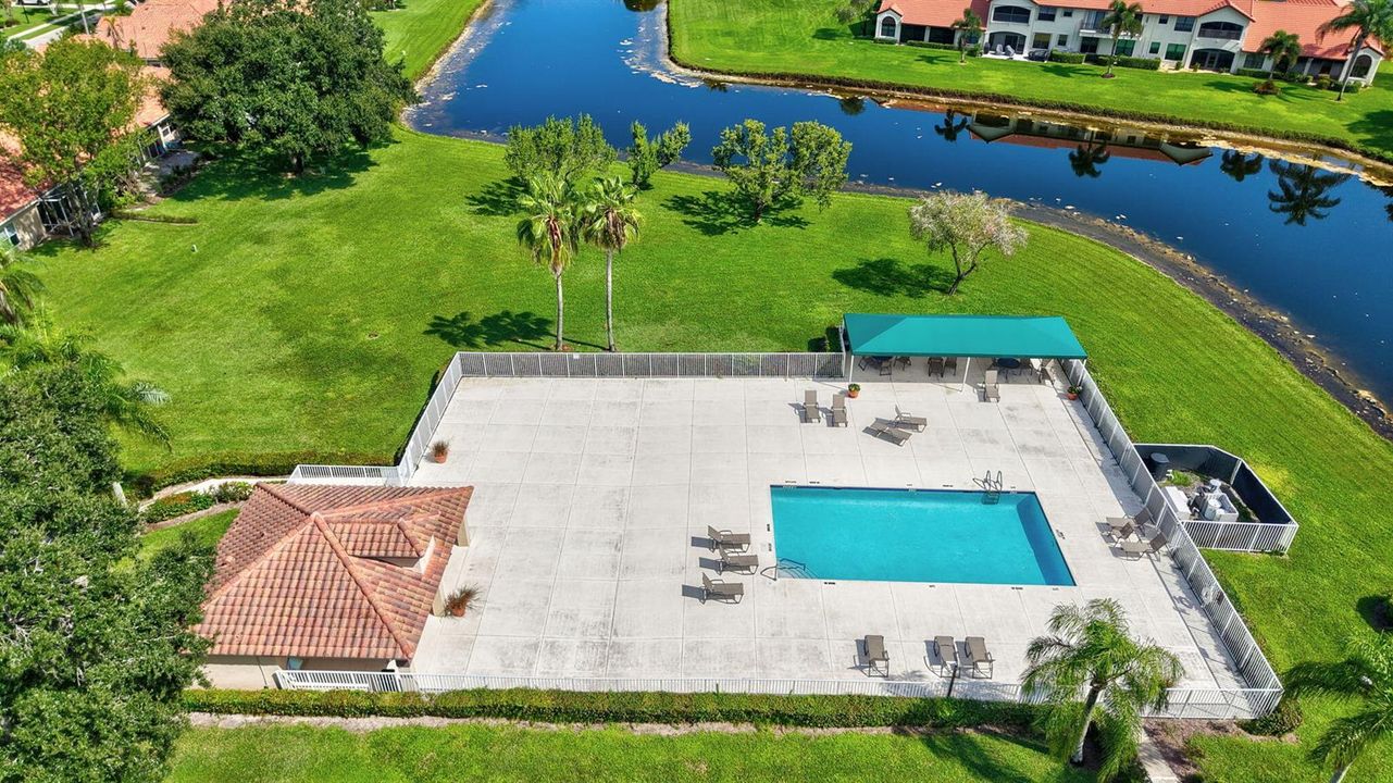 Pool by The Coves