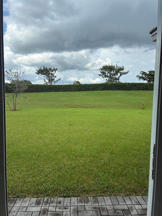Backyard view from living room sliders