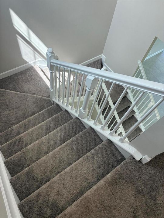 Carpet stairs with high ceilings and rec