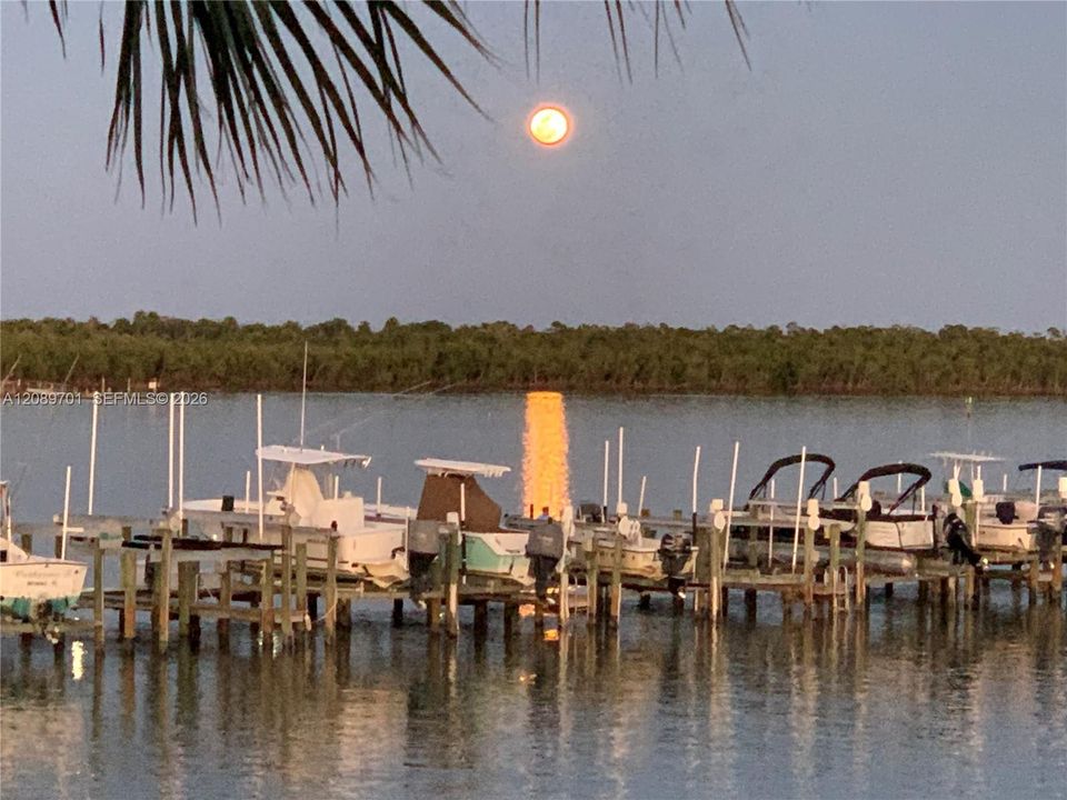 Moon Rise