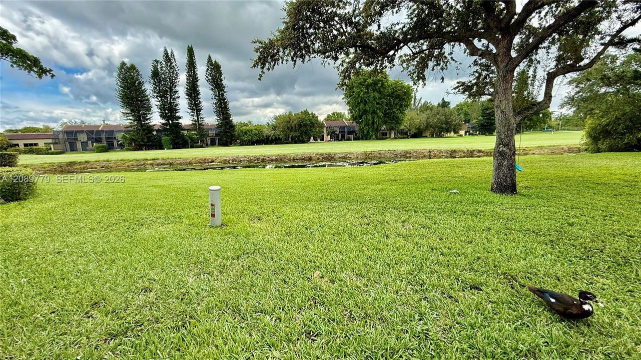 For Rent: $4,100 (4 beds, 3 baths, 1712 Square Feet)