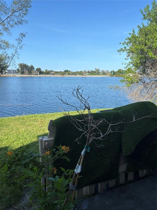 LAKE VIEW FROM THE PATIO