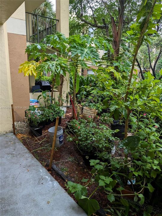En Renta: $2,200 (2 camas, 2 baños, 1024 Pies cuadrados)