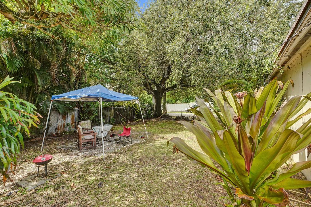 Backyard