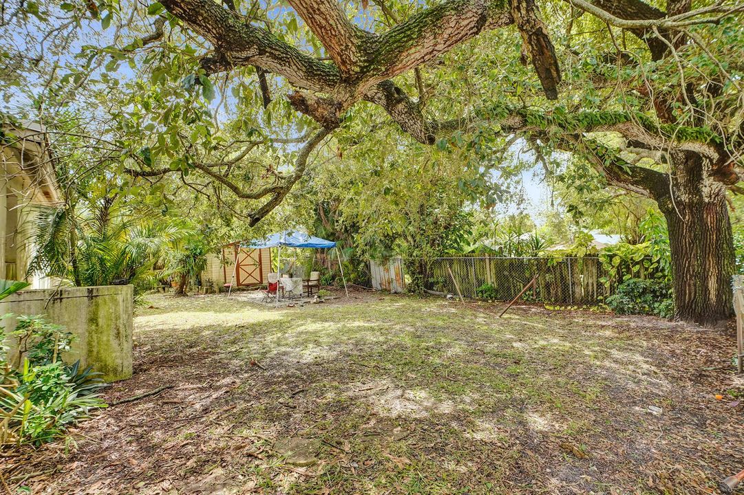 Large backyard