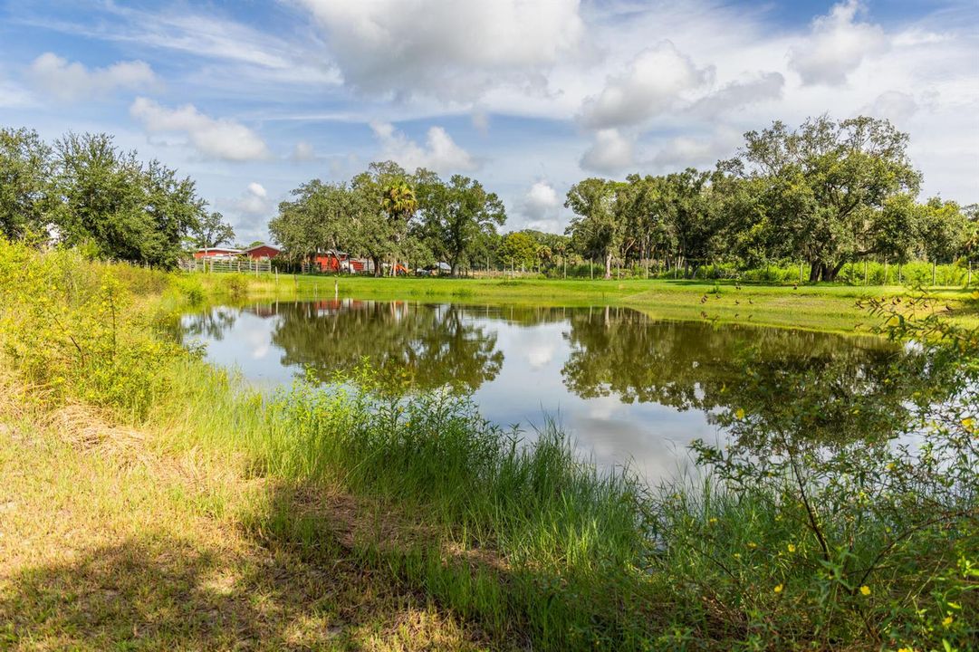 Pooley Property-22