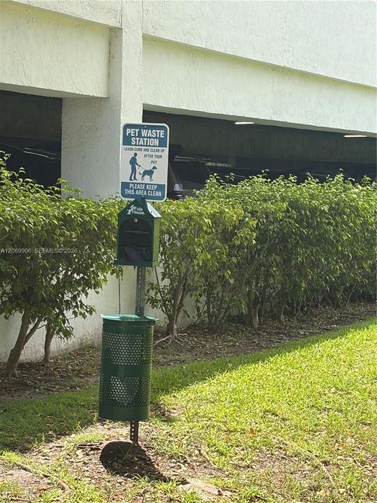 dog park