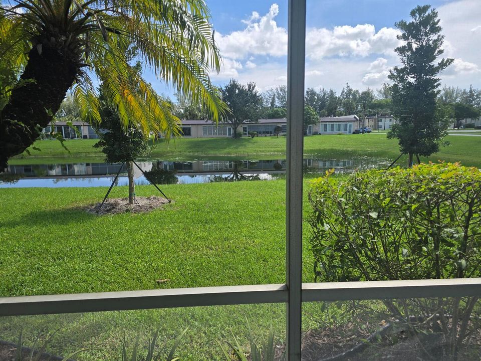 VIEW FROM PATIO