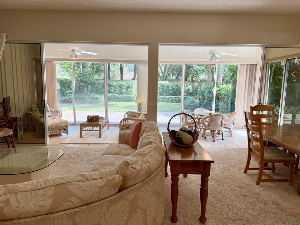 View to Backyard