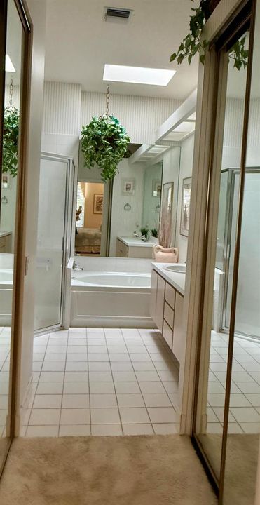 Master Bedroom Closets
