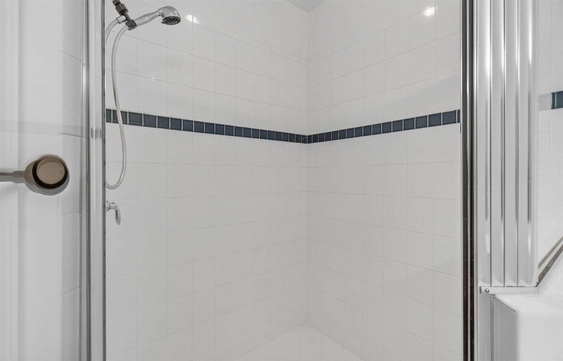 Primary Bathroom Shower