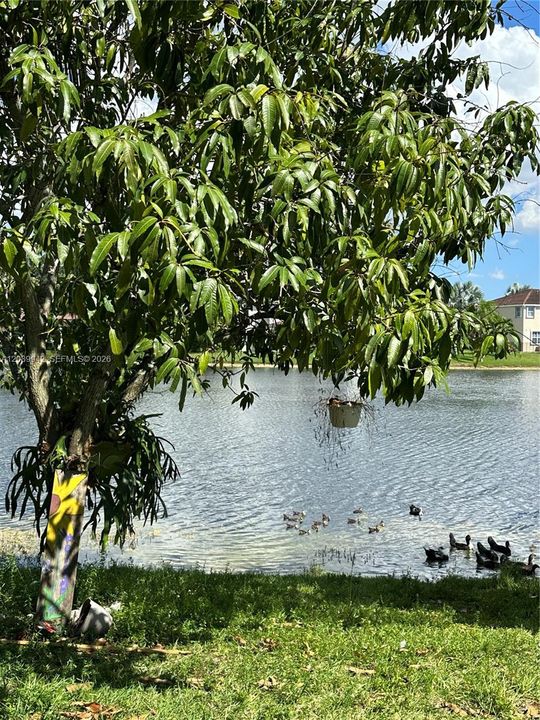 For Rent: $4,100 (3 beds, 2 baths, 1761 Square Feet)