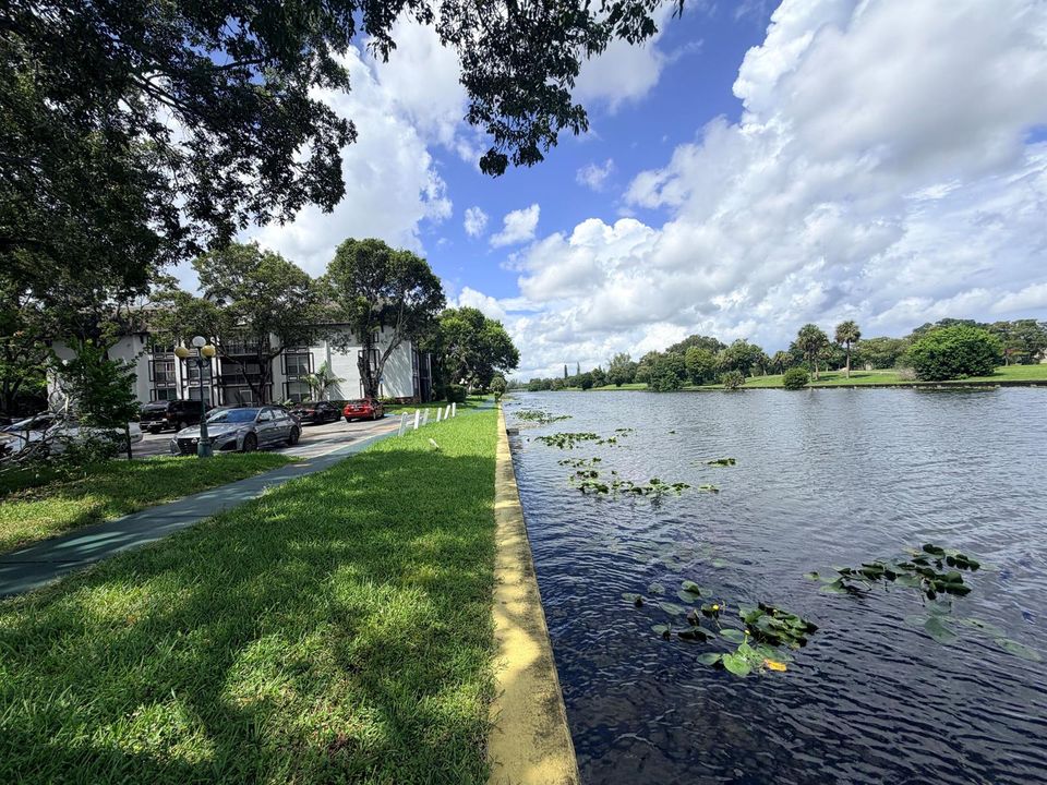 IMG_1251