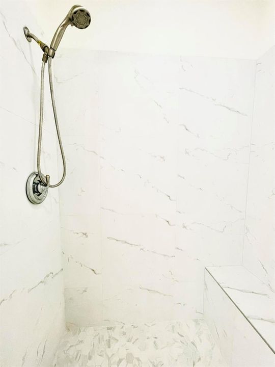 Master Shower