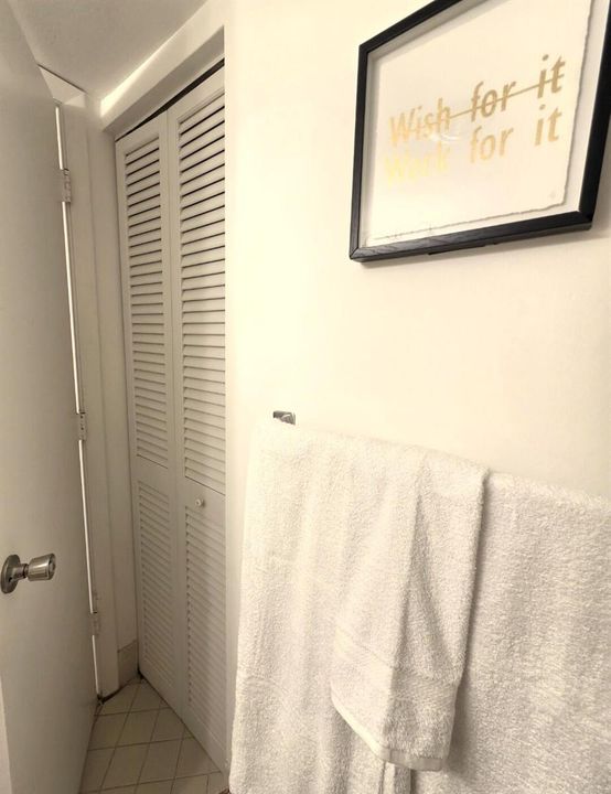 Primary Bath Closet
