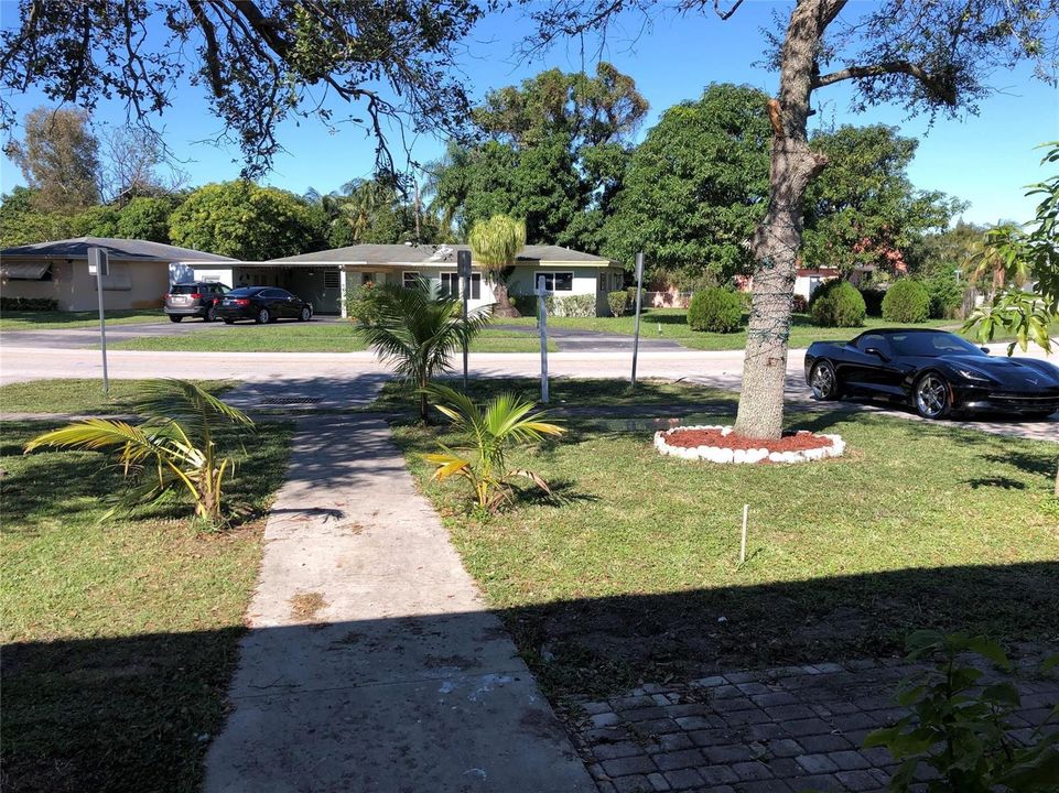 Photo 43