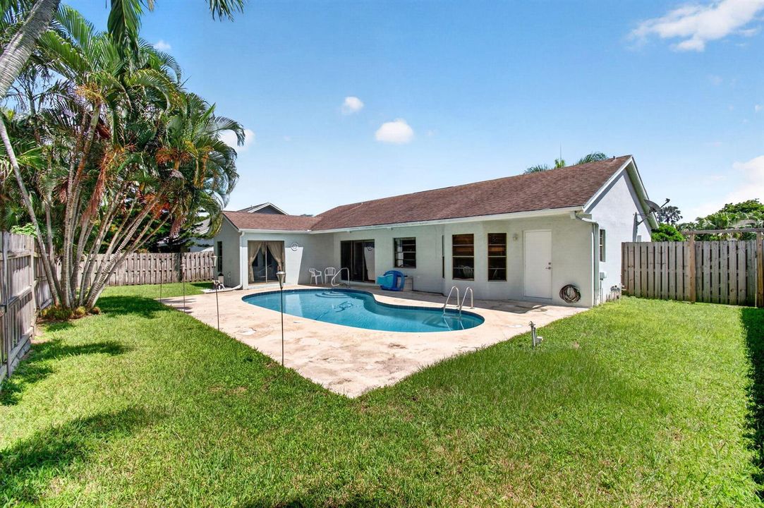 Backyard - Pool