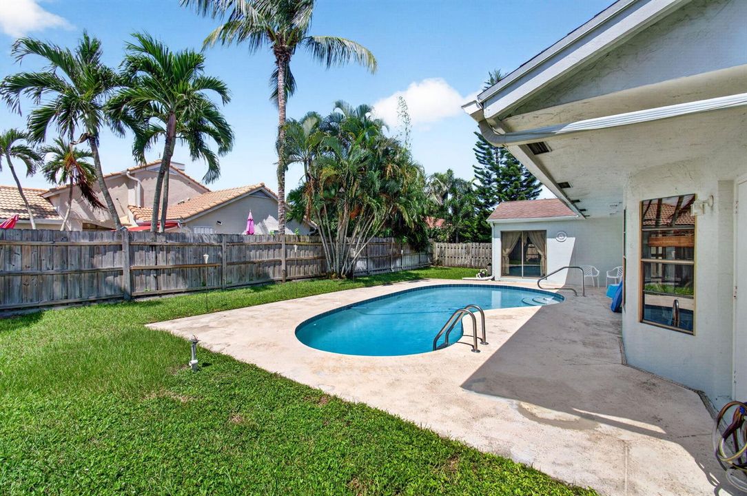 Backyard - Pool