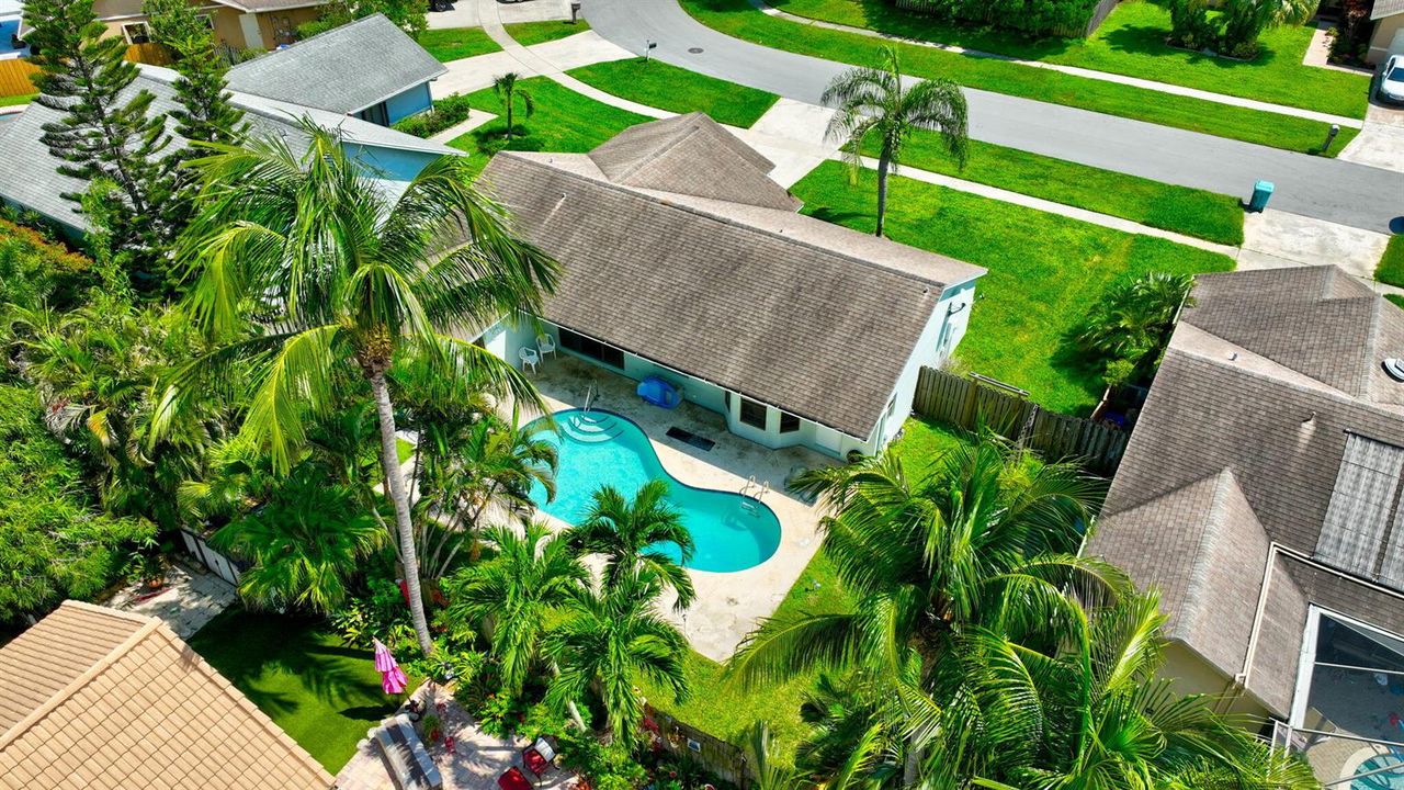 Aerial View of the Pool