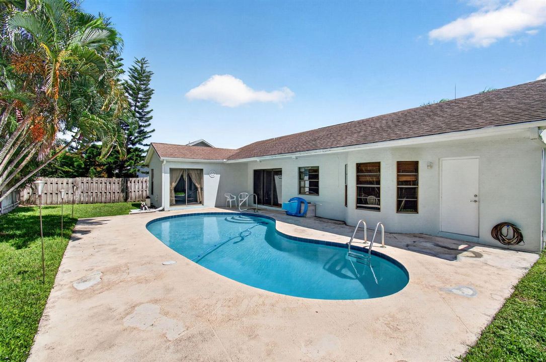Backyard - Pool