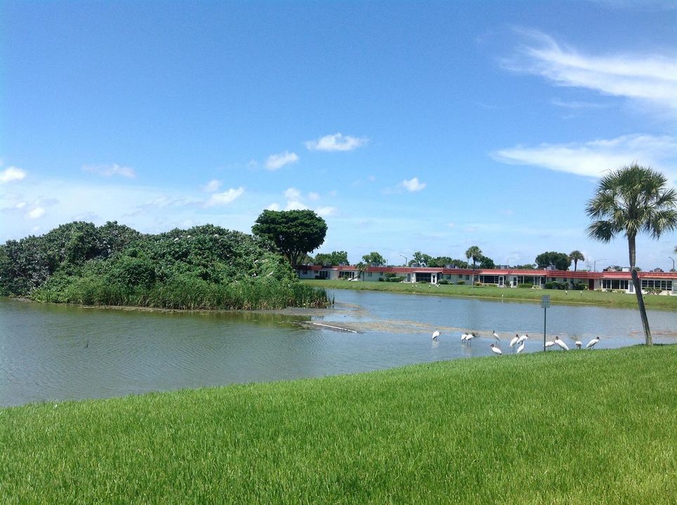 Bird Sanctuary