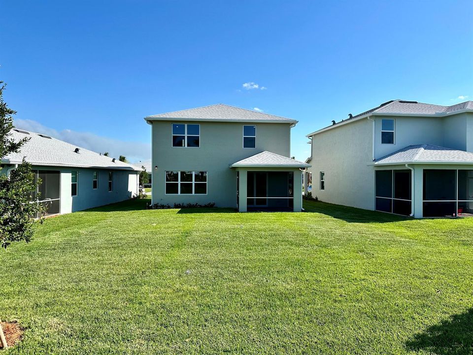 rental 4