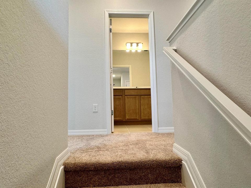 rental 19