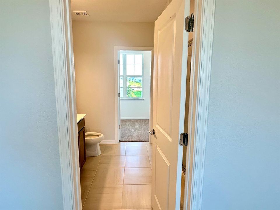 rental 38