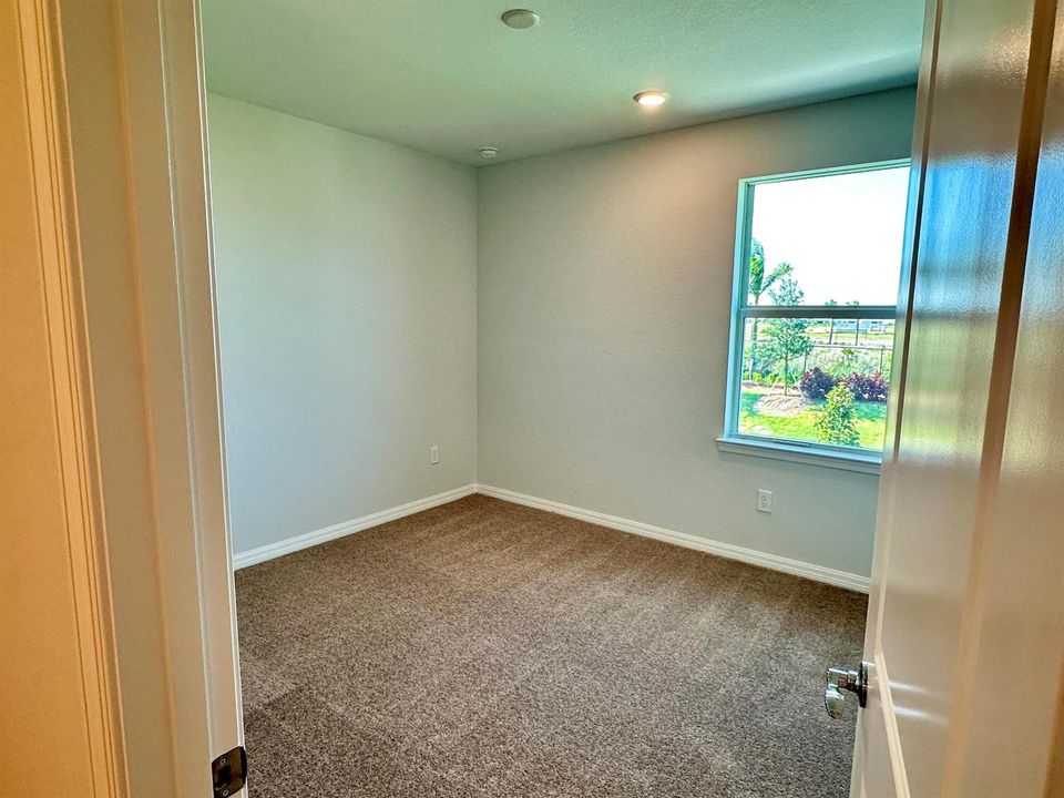 rental 29