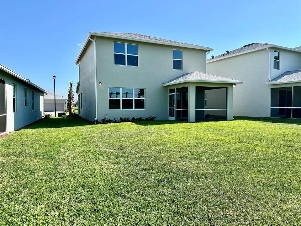 rental 3