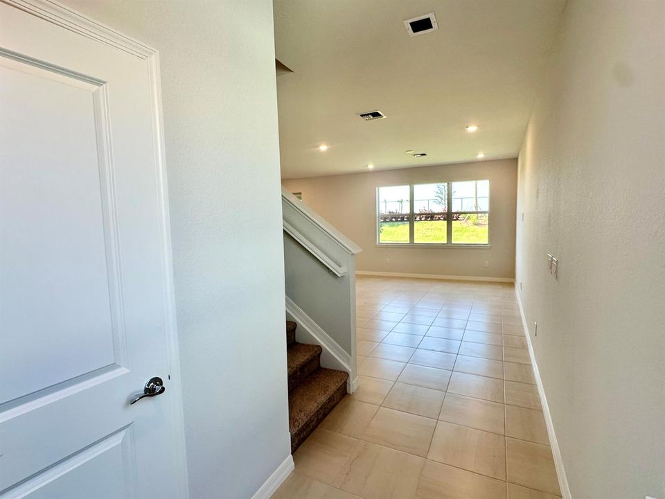 rental 7