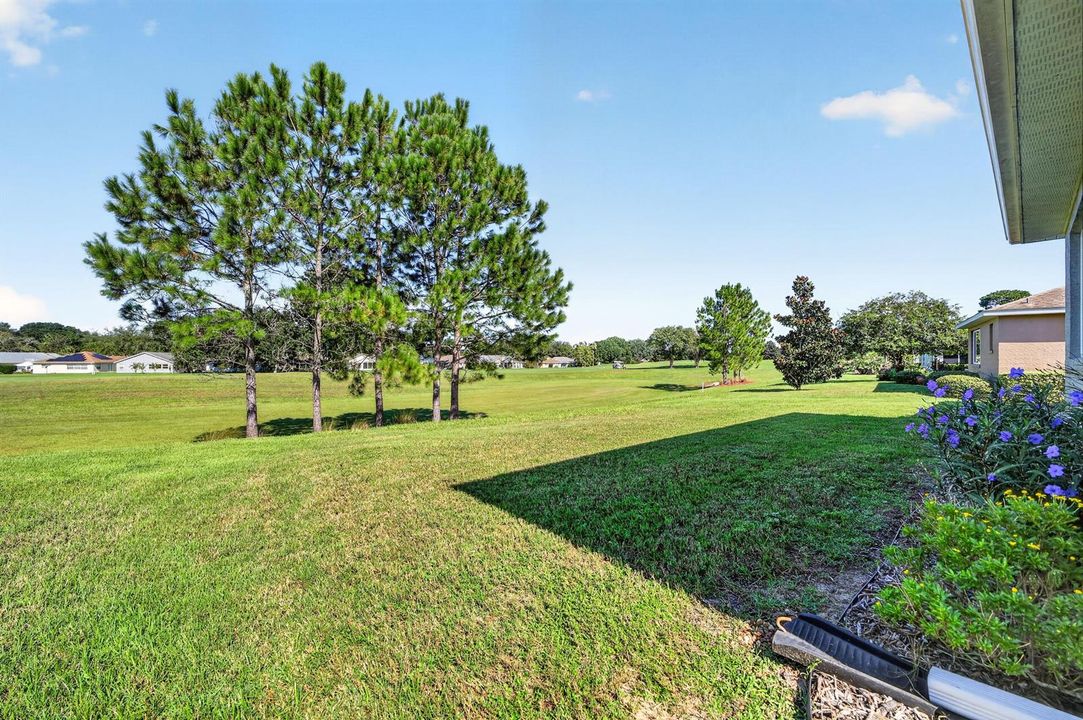 Golf Course View